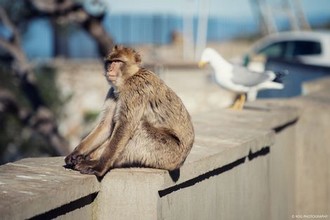 三门鞋柜安装教程