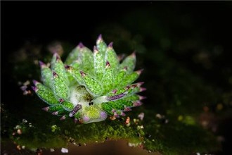 前列腺增大怎么治疗最好的方法