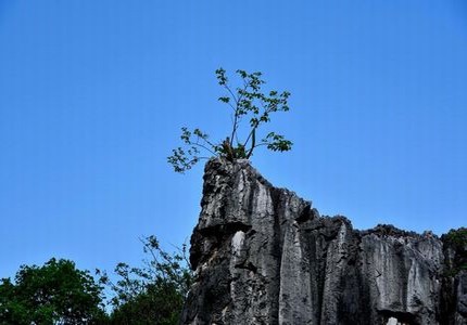 午马电影全集在线观看迷航昆仑墟