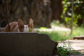 大象影视传媒有限公司