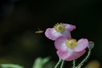 奔驰720多少钱一辆