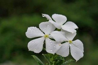 永久免费的仓库