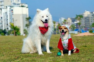 江南大学陈宝柱陆冰嫣