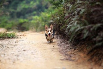 男生嘴笨不会跟女孩聊天怎么开头