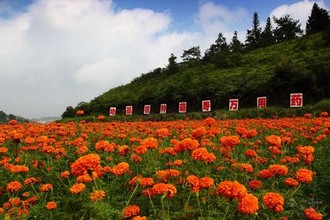 穿瑜伽服的妈妈