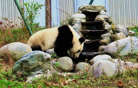 第一次和领导喝酒怎么敬酒