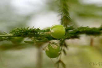 英国电影《男情难了》