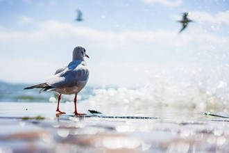 英语老师穿黑s被学生c视频