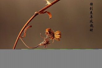 苹果高能片段几分几秒