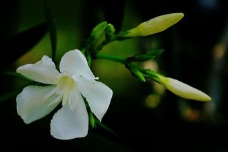 超级yn荡的大学校花小说