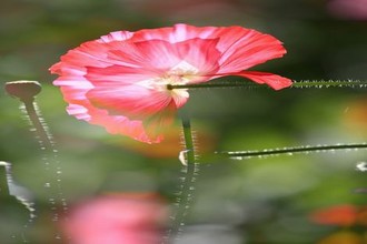 食人族活吃掉美女视频