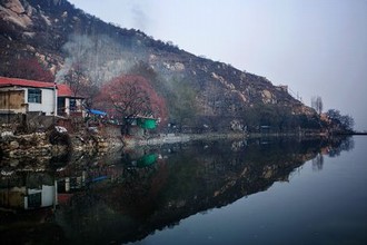 麻花免费的影视大全